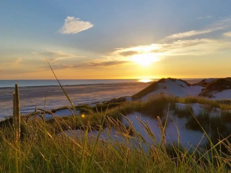 Nordseeinsel Amrum