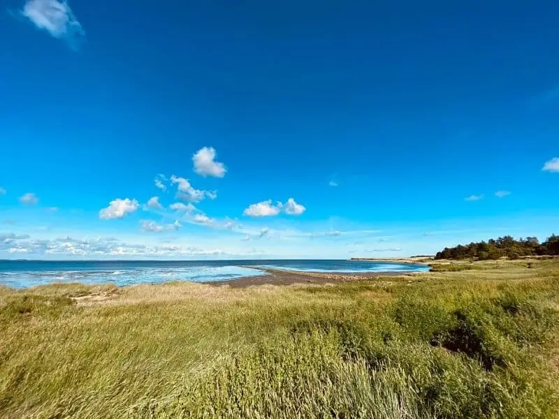 Nordseeinsel Amrum