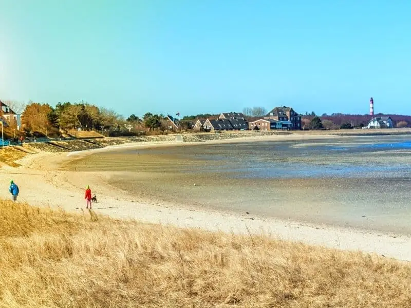 Nordseeinsel Amrum