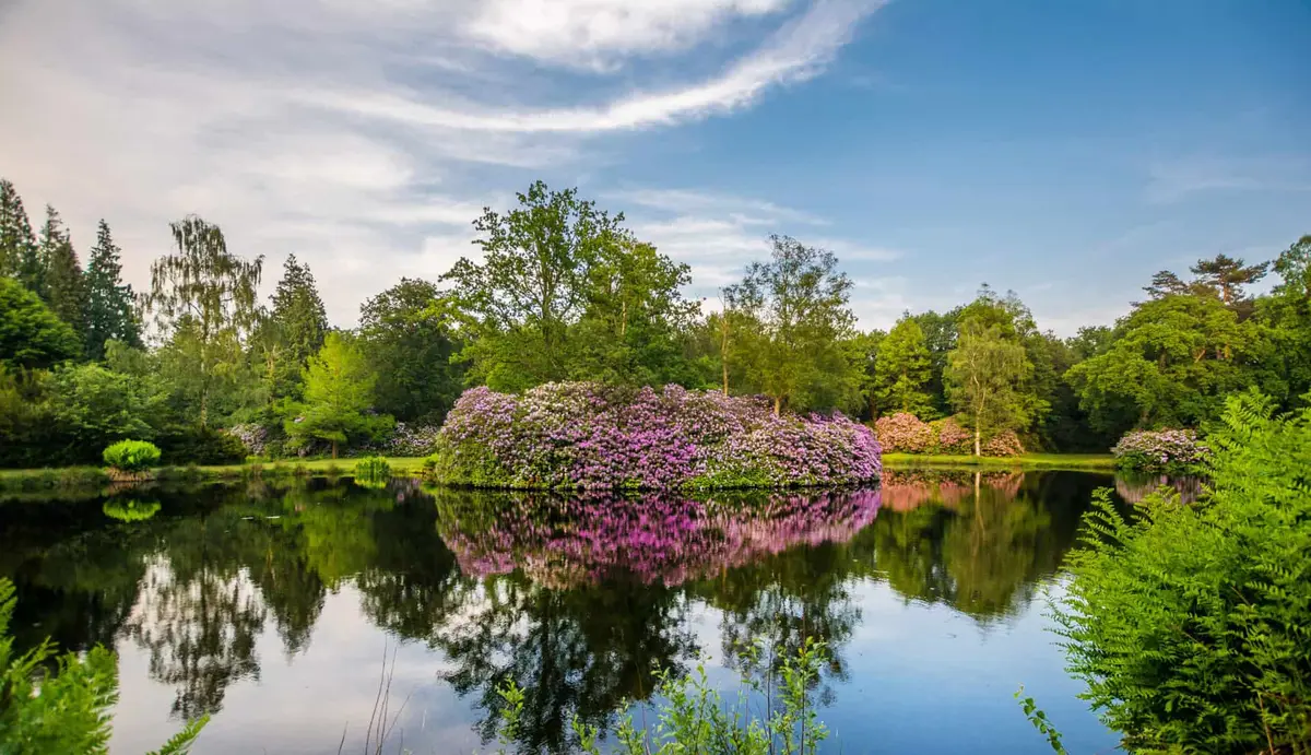Der Schlosspark Lütetsburg