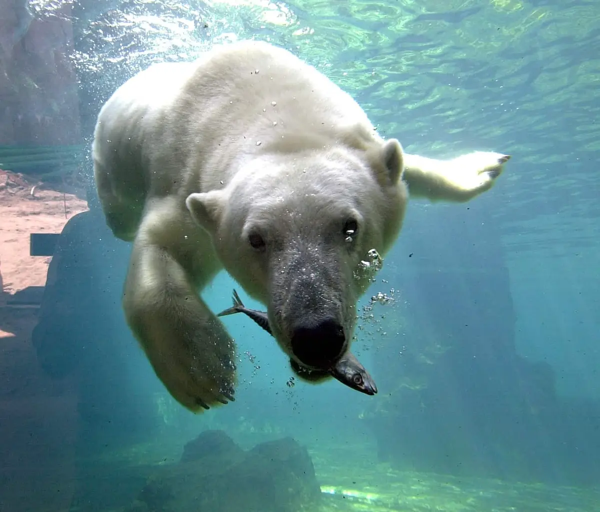 Zoo am Meer Bremerhaven