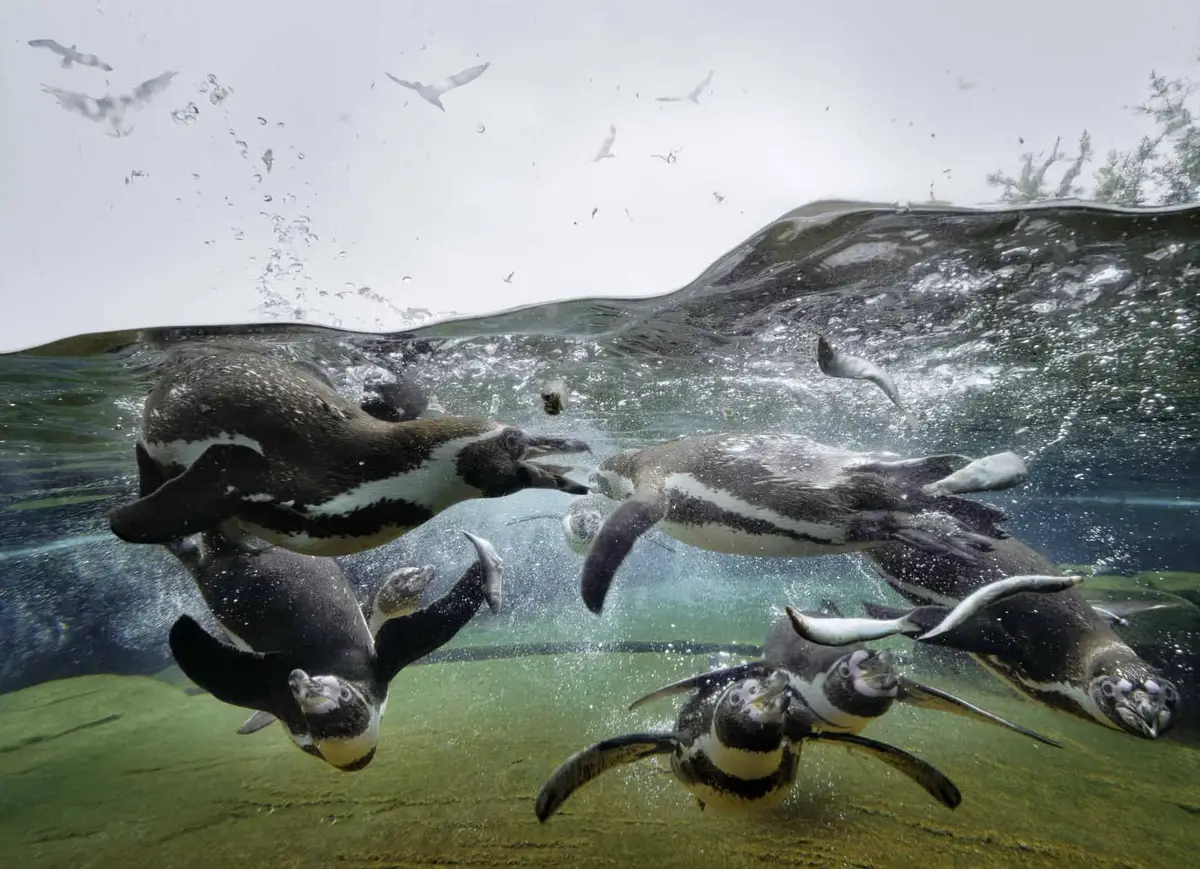 Zoo am Meer Bremerhaven