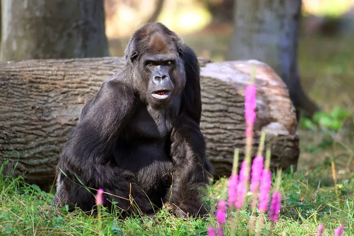 Zoo Rostock