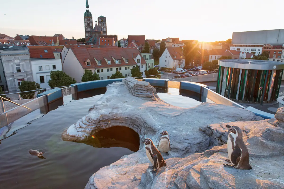 Das OZEANUM