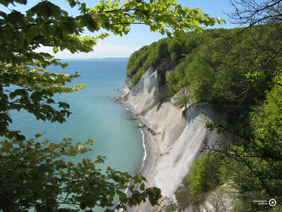 Der Nationalpark Jasmund mit dem Königsstuhl