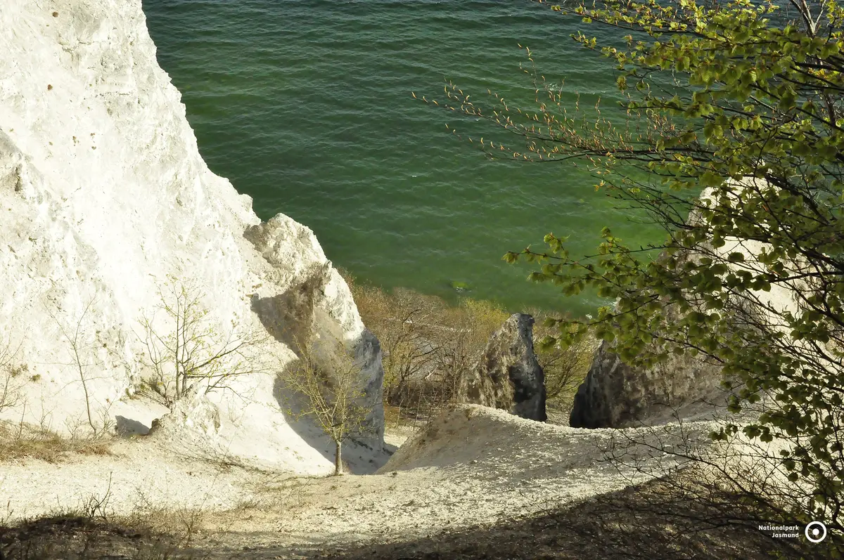 Der Nationalpark Jasmund mit dem Königsstuhl