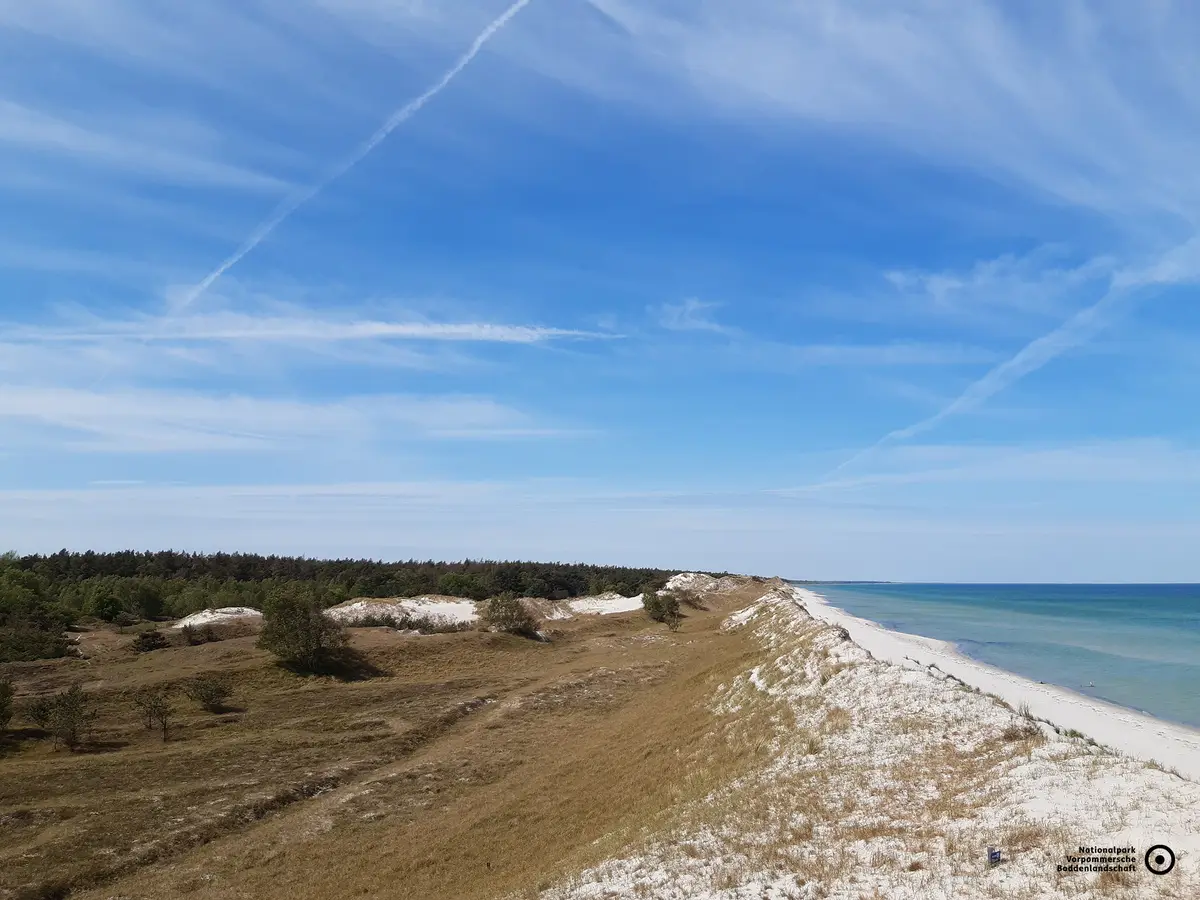 Der Nationalpark Vorpommersche Boddenlandschaft