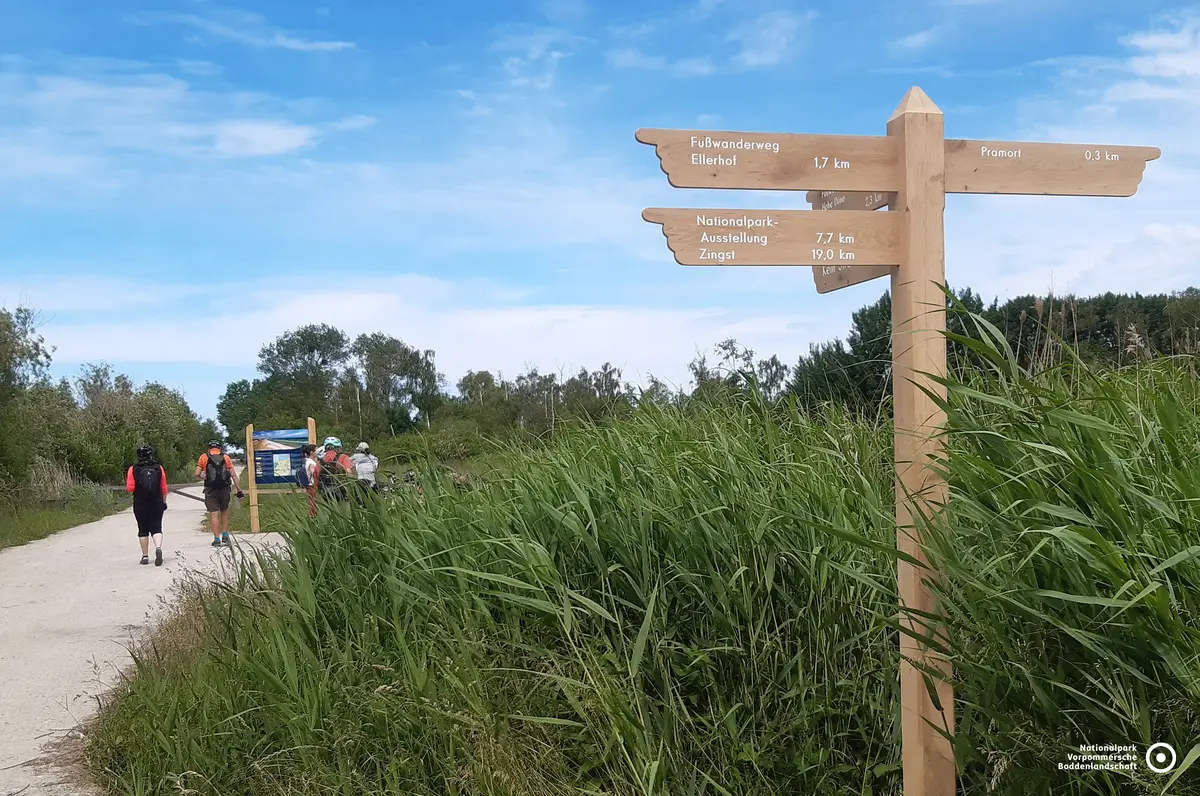 Der Nationalpark Vorpommersche Boddenlandschaft