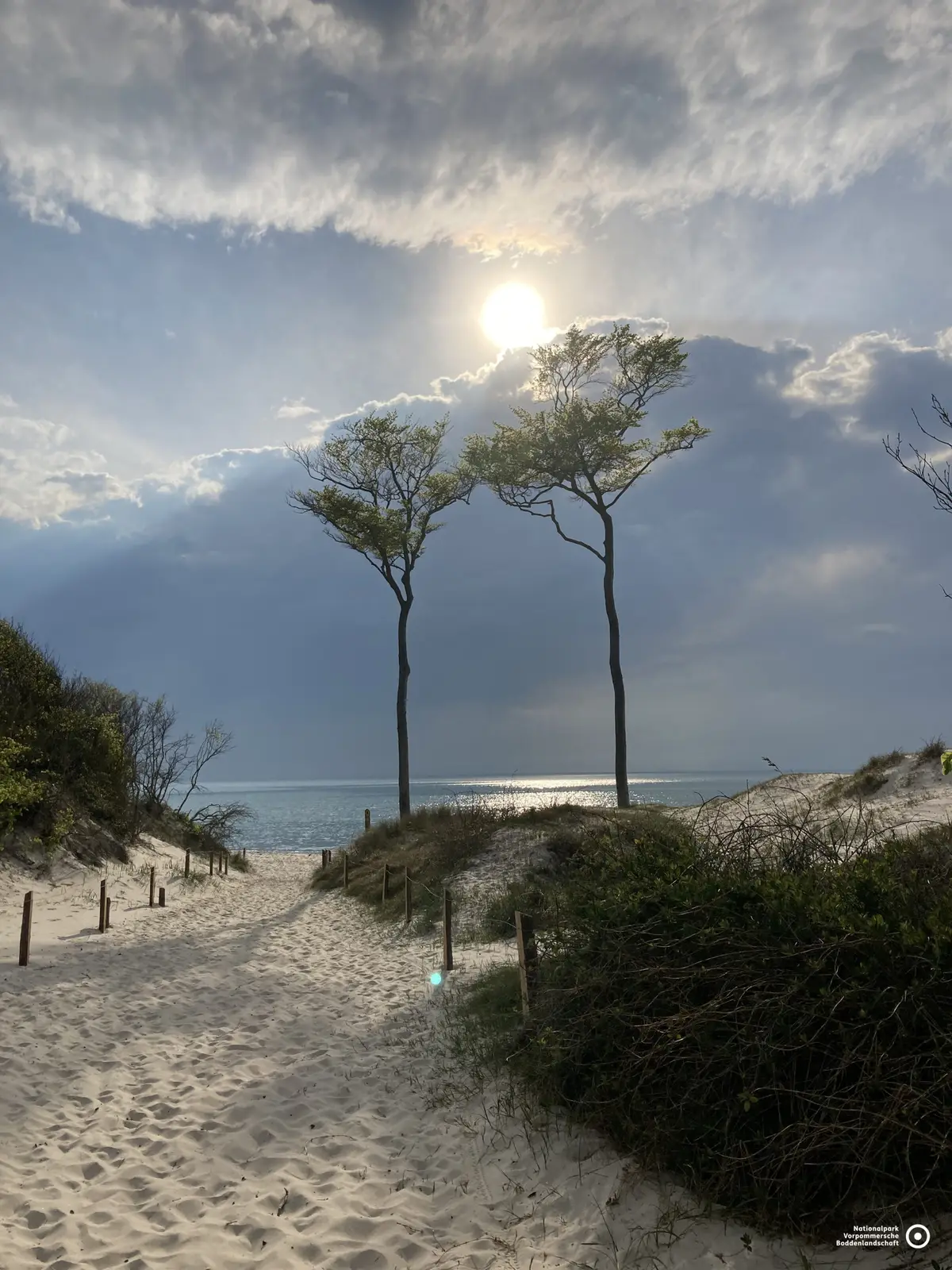Der Nationalpark Vorpommersche Boddenlandschaft
