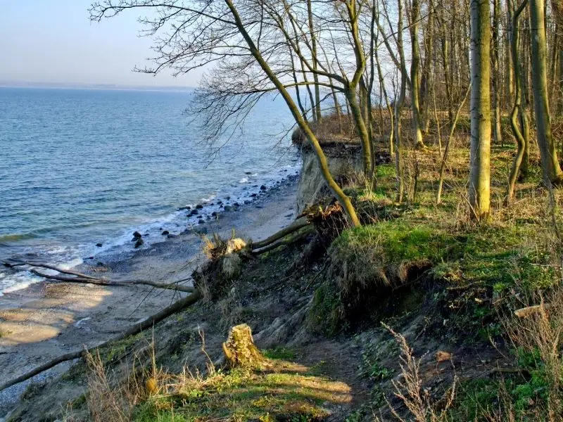 Das Brodtener Steilufer