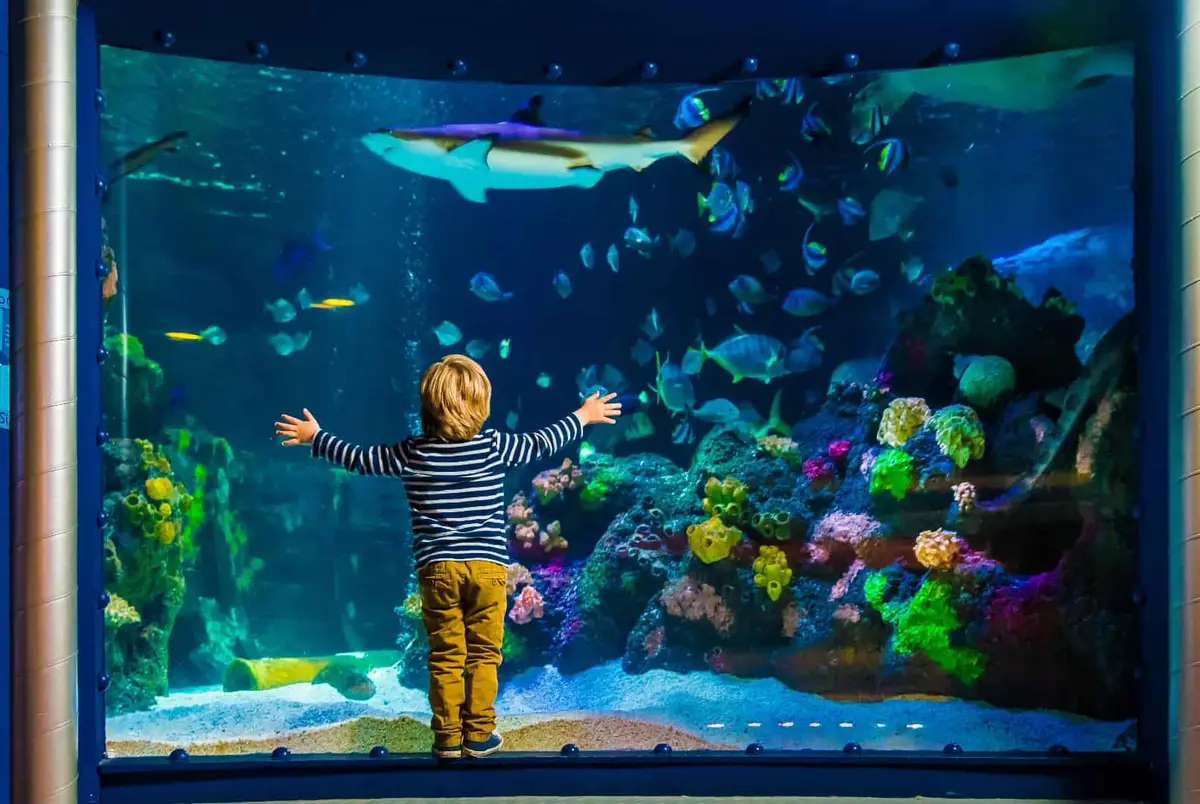 © SEA LIFE