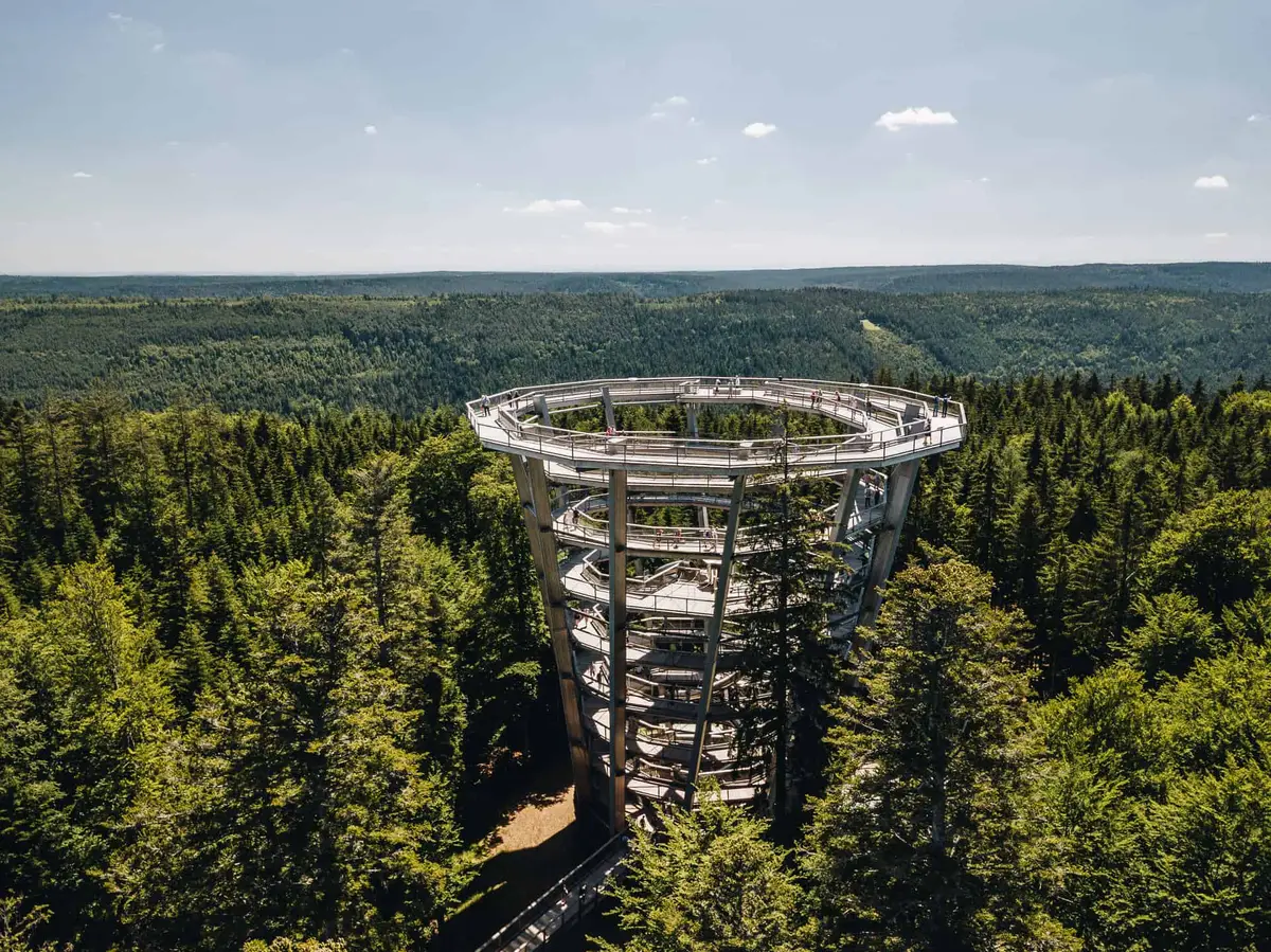 Der Baumwipfelpfad Schwarzwald
