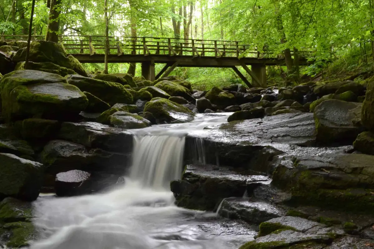 Die Holzbachschlucht