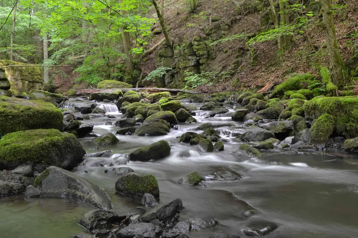 Die Holzbachschlucht