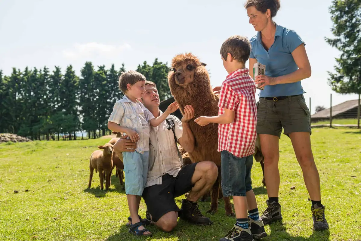Der Wildpark Bad Marienberg