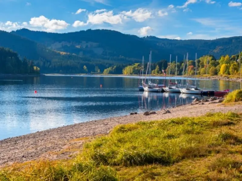 Der Schluchsee