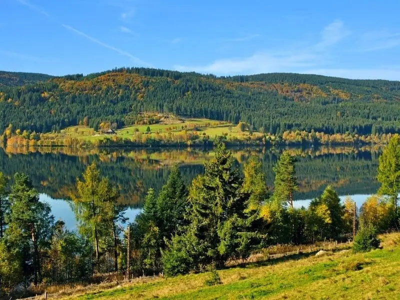 Der Schluchsee