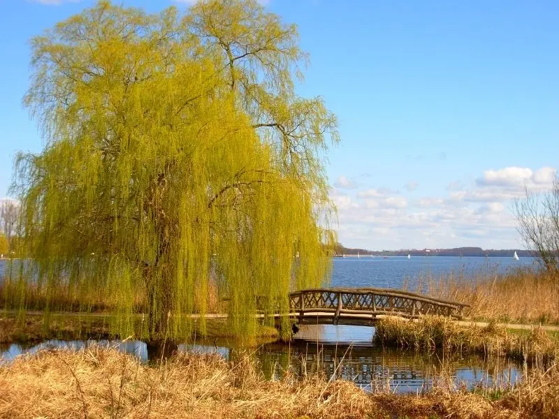 Der Schweriner See