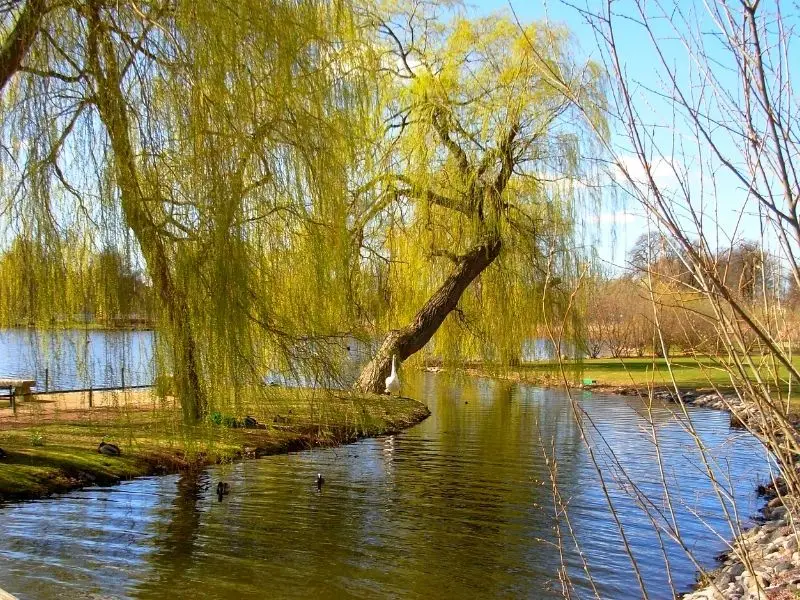 Der Schweriner See