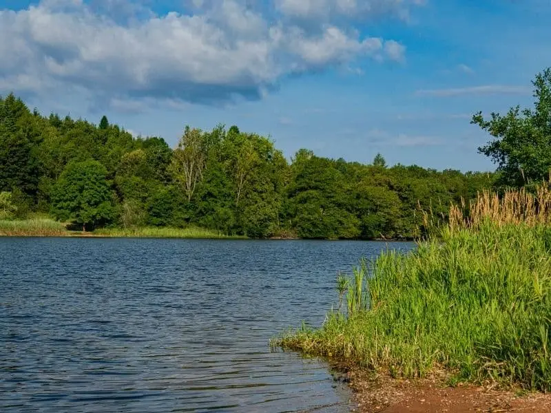 Der Stausee Losheim im Saarland
