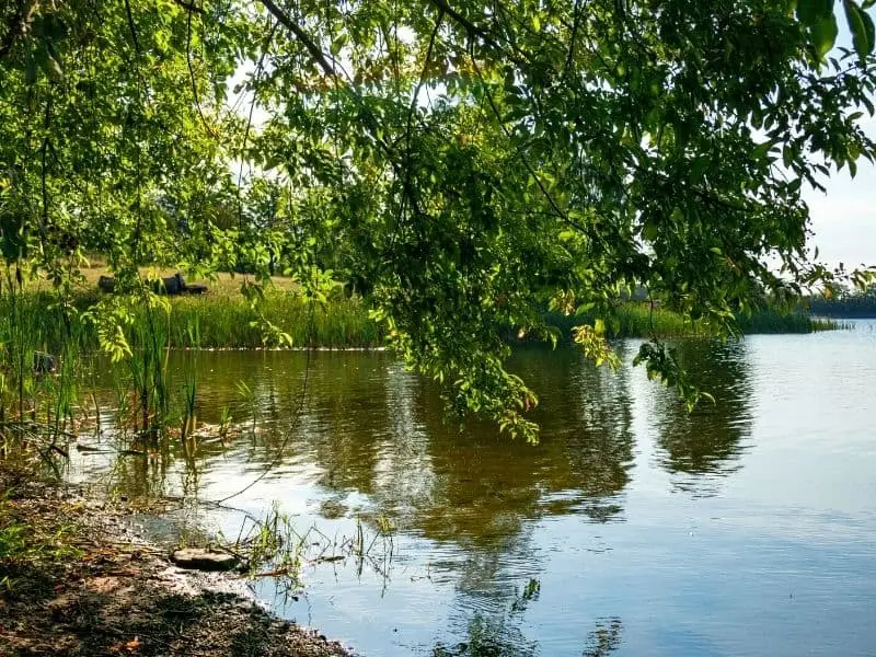 Der Stausee Losheim im Saarland