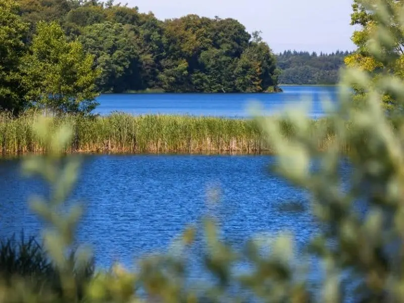 Der Schaalsee in Schleswig-Holstein
