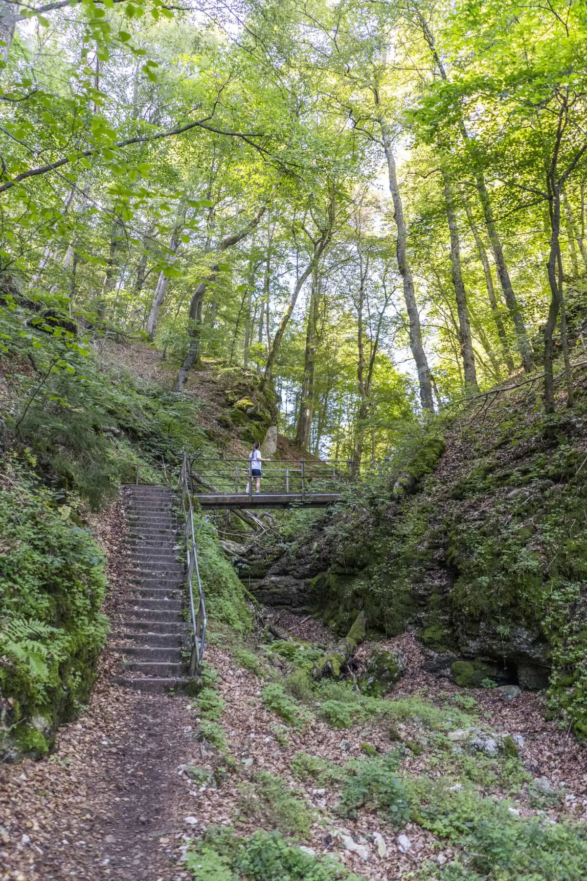 Der Wanderweg Traufgang Hossinger Leiter