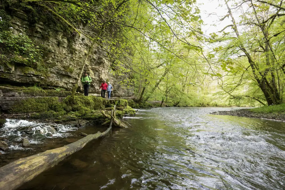 Die Wutachschlucht in Baden-Württemberg