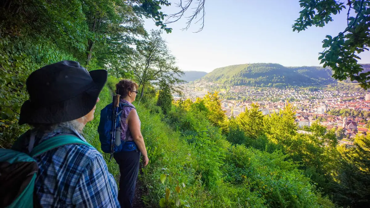 Löwenpfad Weitblick-Tour Wanderweg