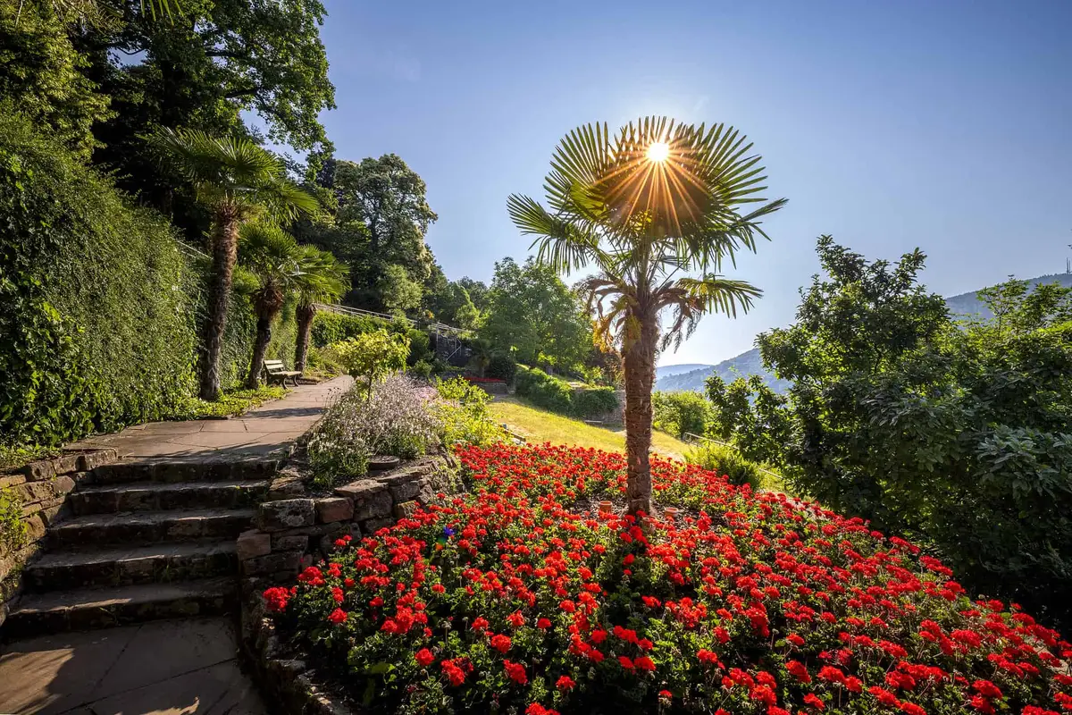 Der Philosophenweg in Heidelberg