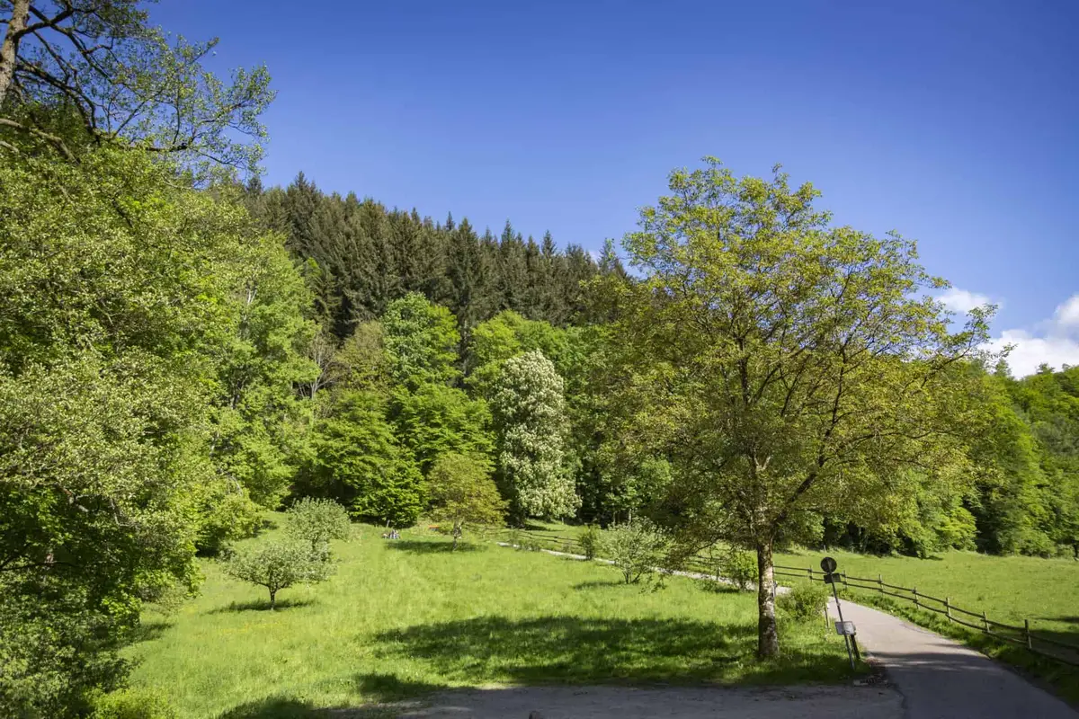 Der Panoramaweg in Baden-Baden
