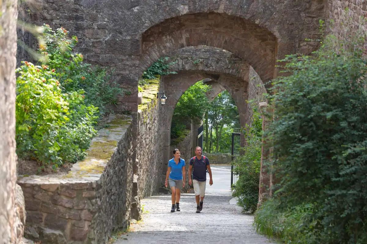 Der Panoramaweg in Baden-Baden