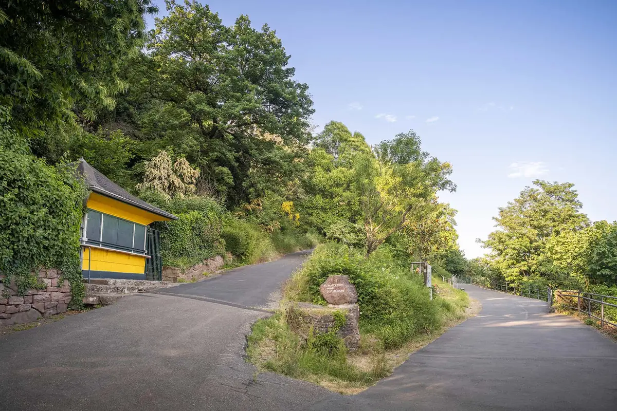 Der Philosophenweg in Heidelberg