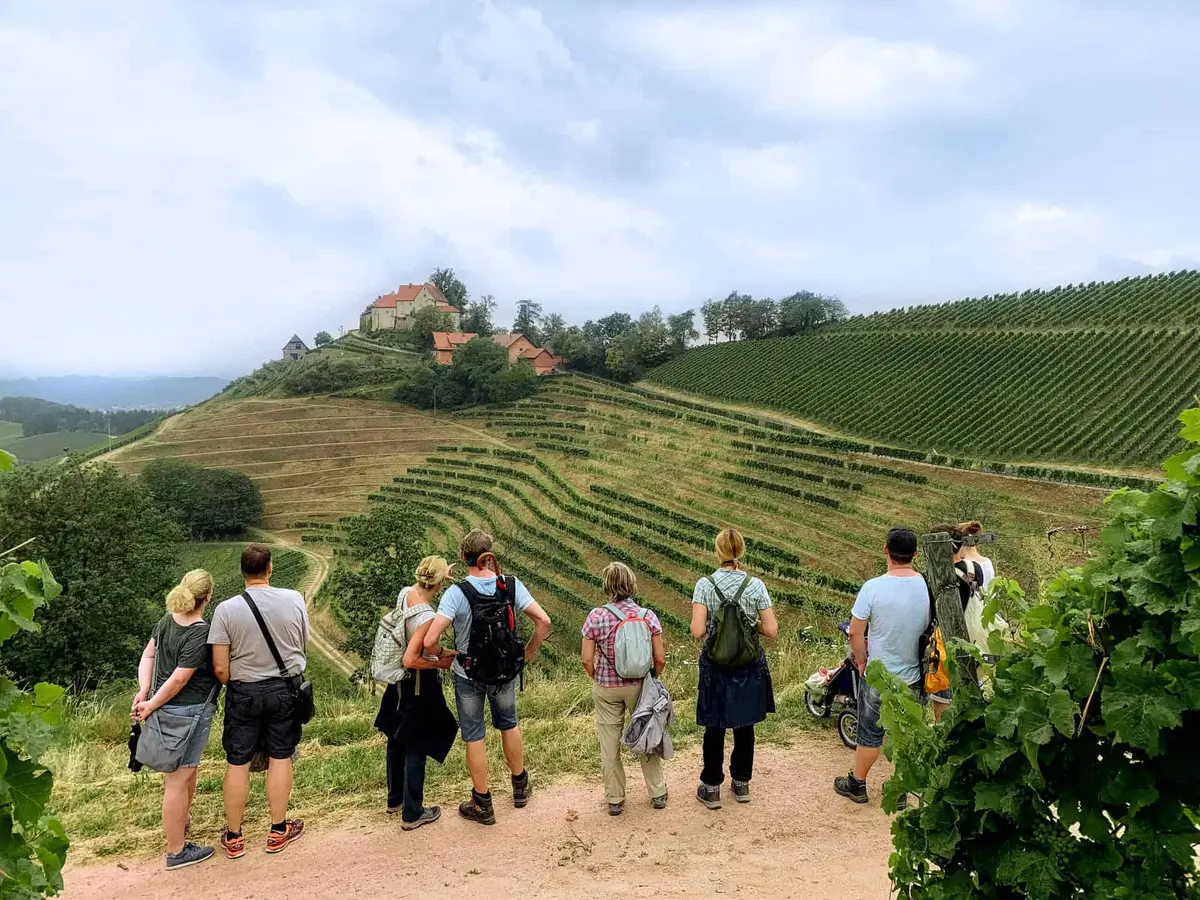 Durbacher Wein-Panoramaweg