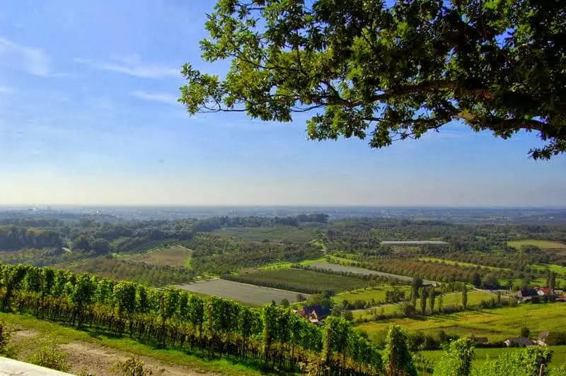 Durbacher Wein-Panoramaweg
