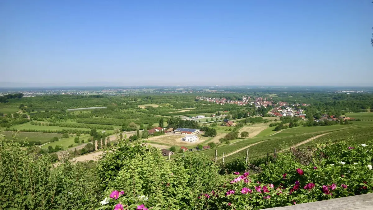 Durbacher Wein-Panoramaweg