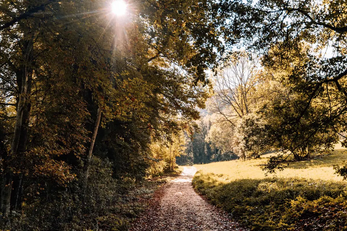 Der Wanderweg Traufgang Hossinger Leiter