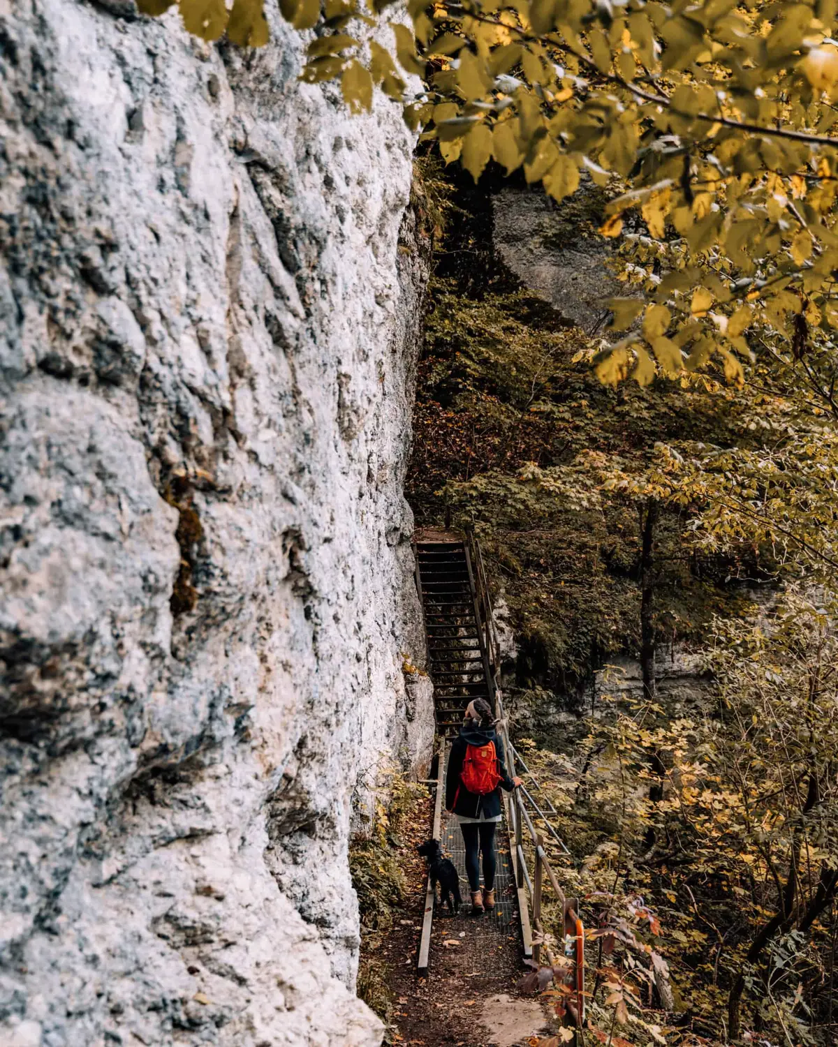 Der Wanderweg Traufgang Hossinger Leiter