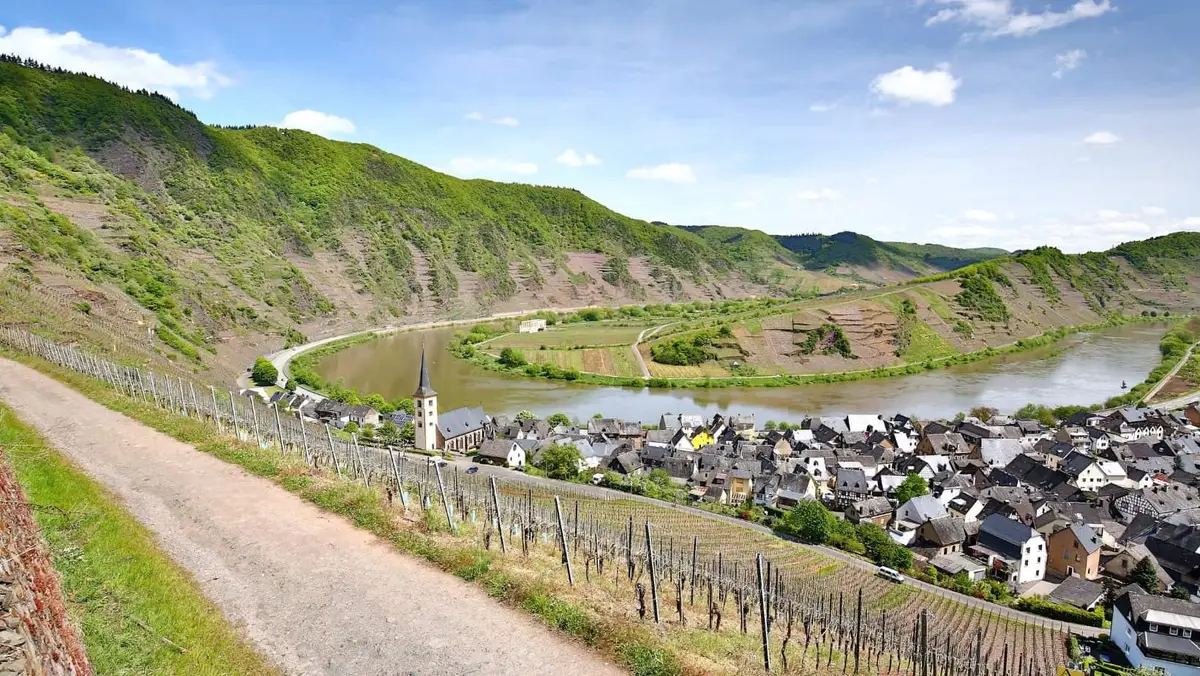 Calmont Pfad Wanderroute in Rheinland-Pfalz