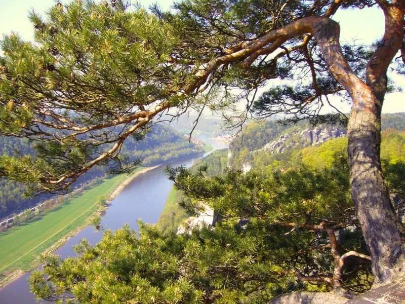 Der Malerweg, Wanderweg in Sachsen