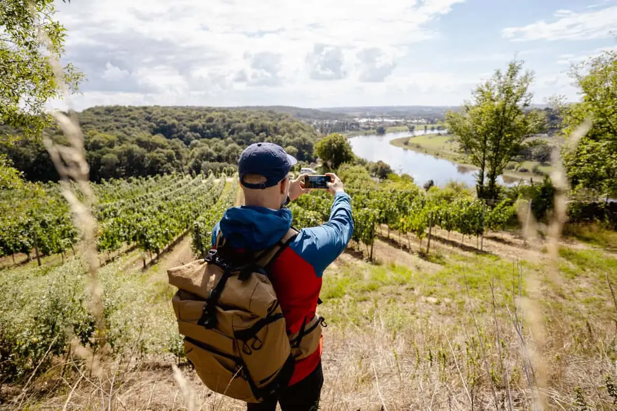 Der Sächsische Weinwanderweg, Wandern in Sachsen