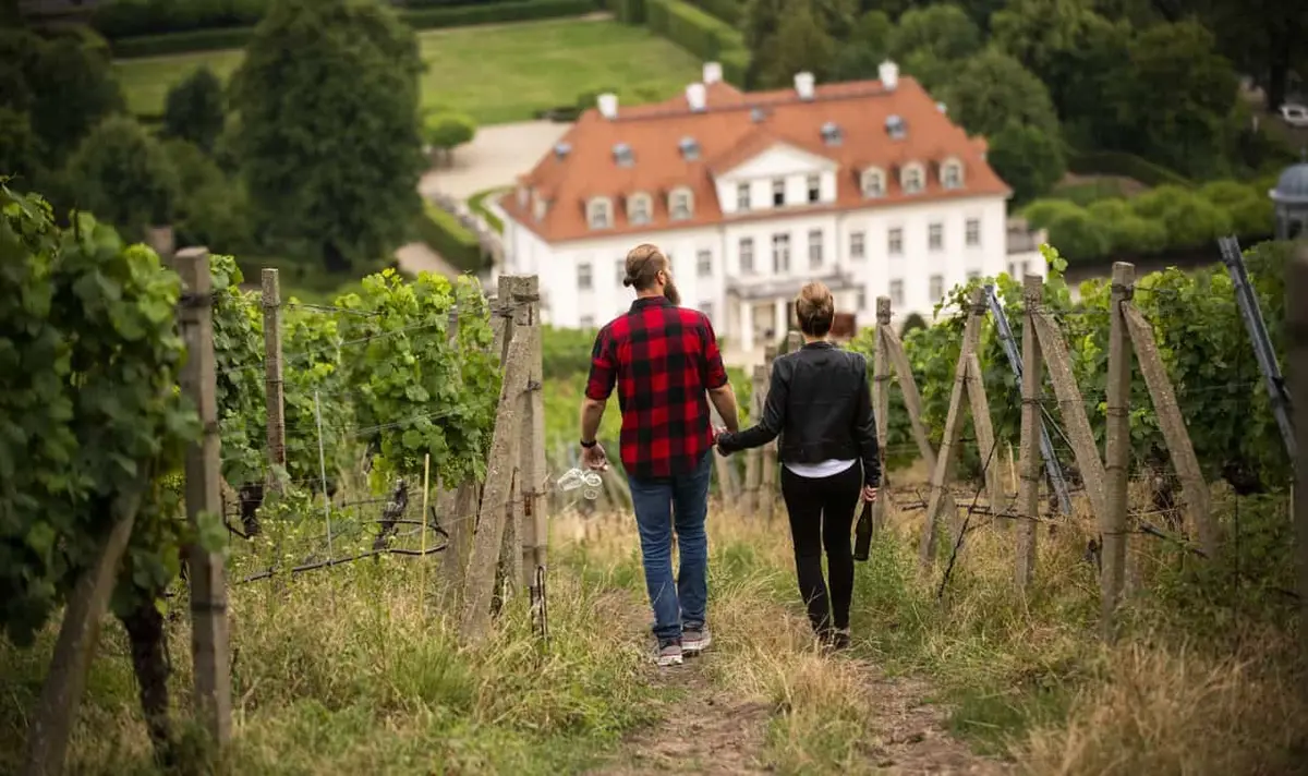 Der Sächsische Weinwanderweg, Wandern in Sachsen