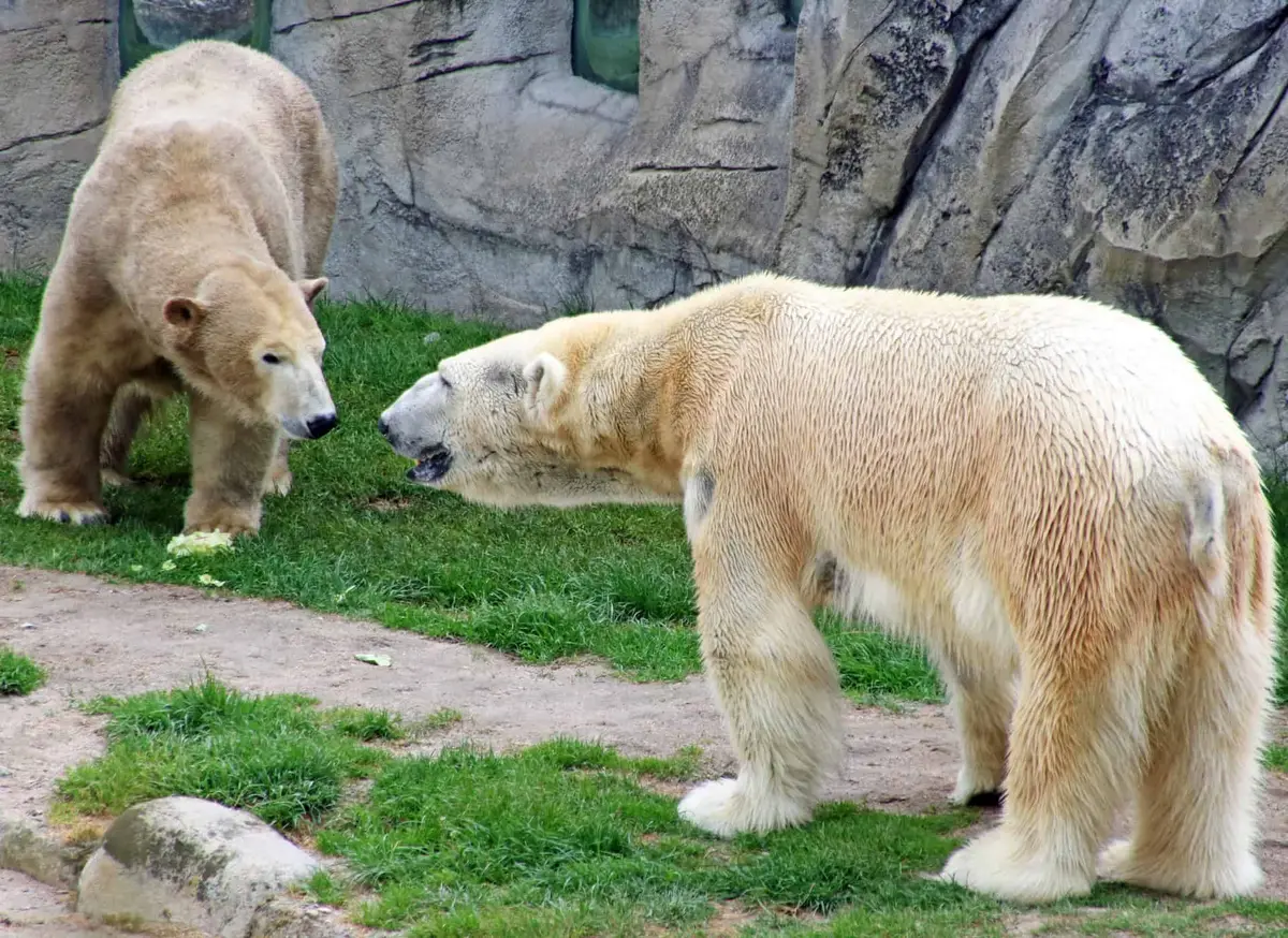 Zoologischer Stadtgarten Karlsruhe