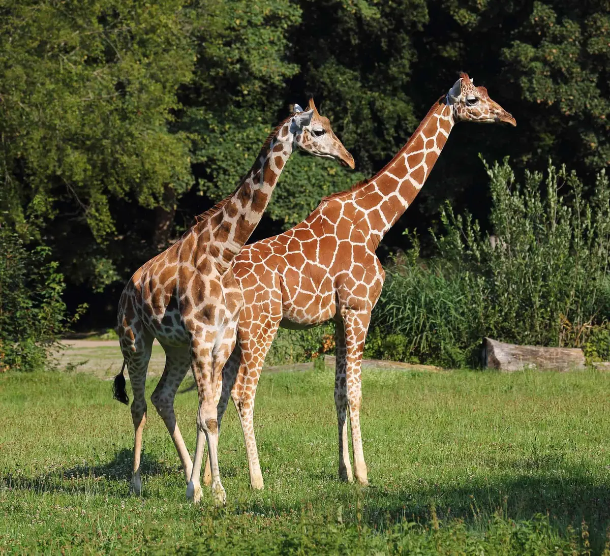 Der Zoo Augsburg