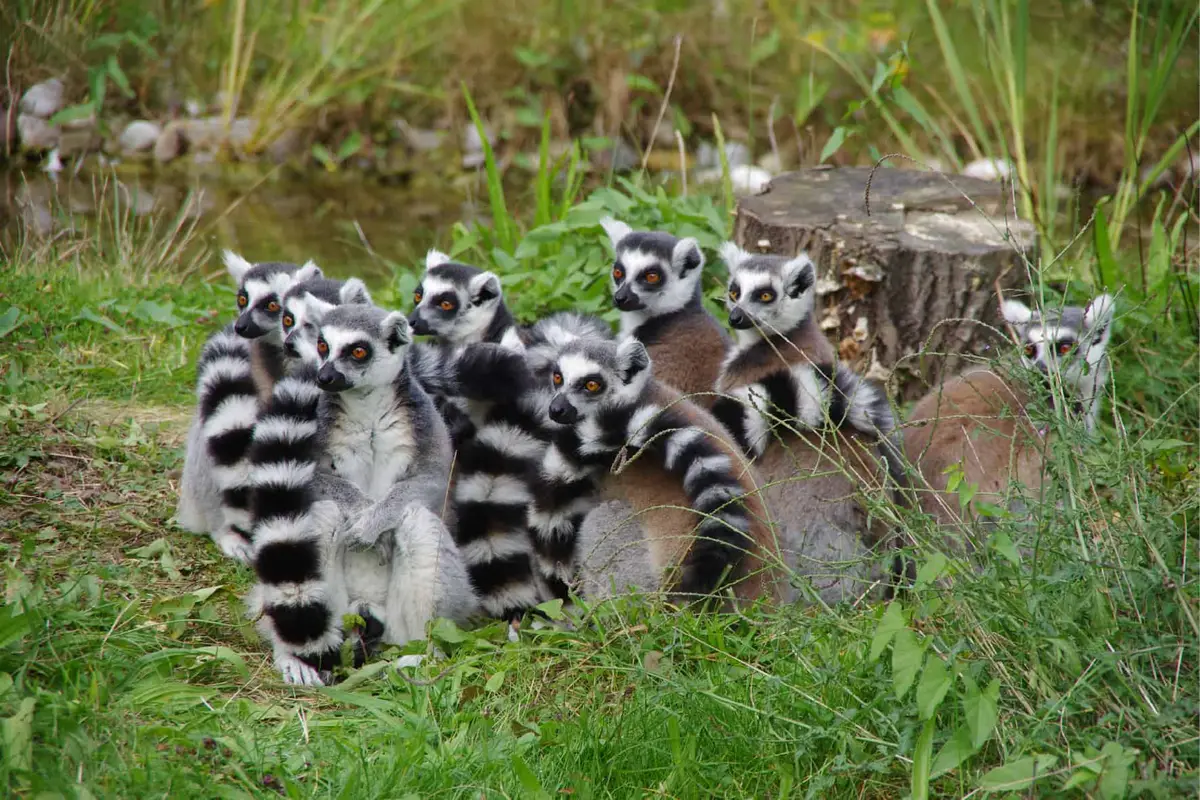 Der Zoo Augsburg