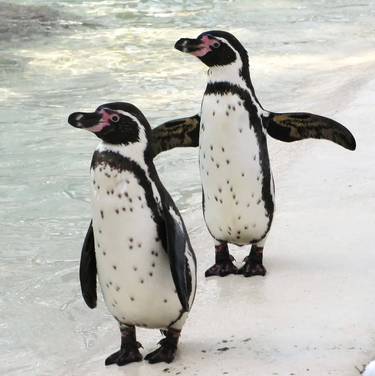 Zoo Eberswalde