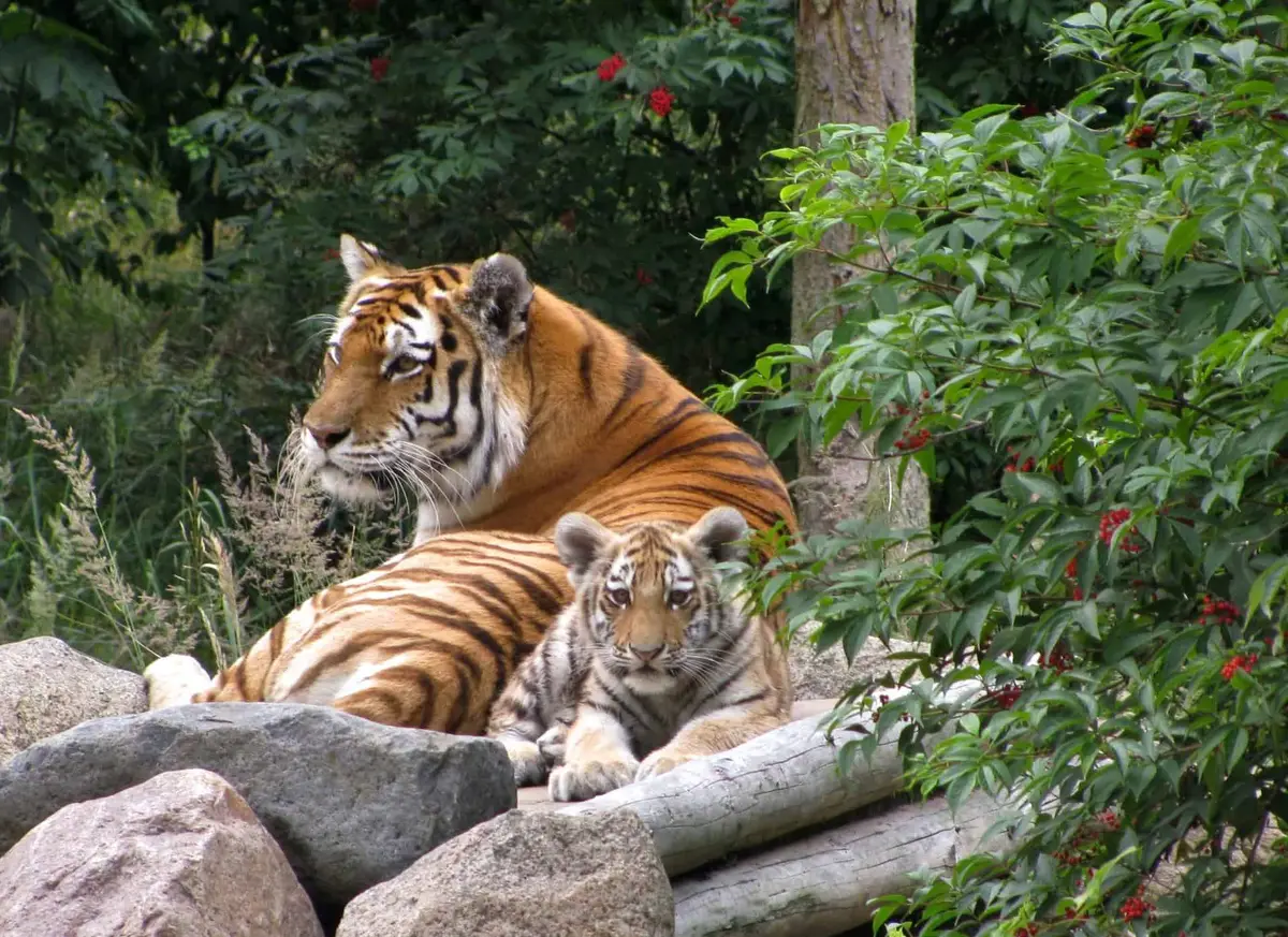 Der Zoo Eberswalde