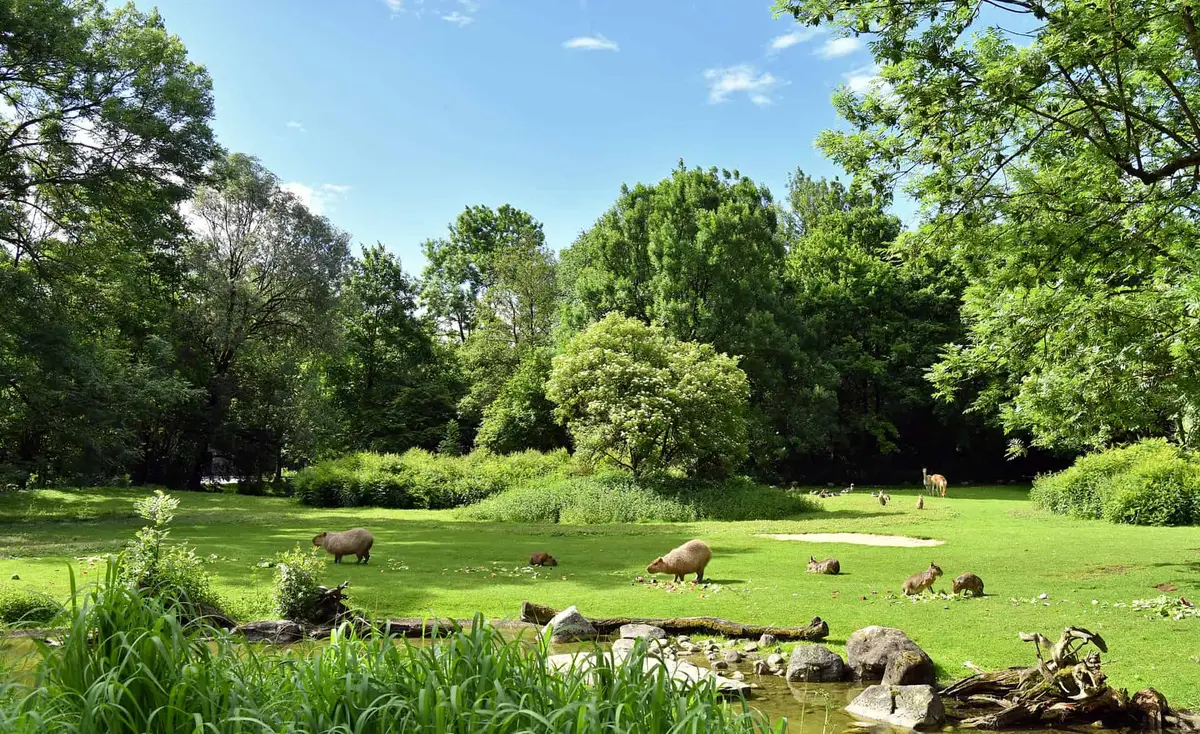 Der Tierpark Hellabrunn in München