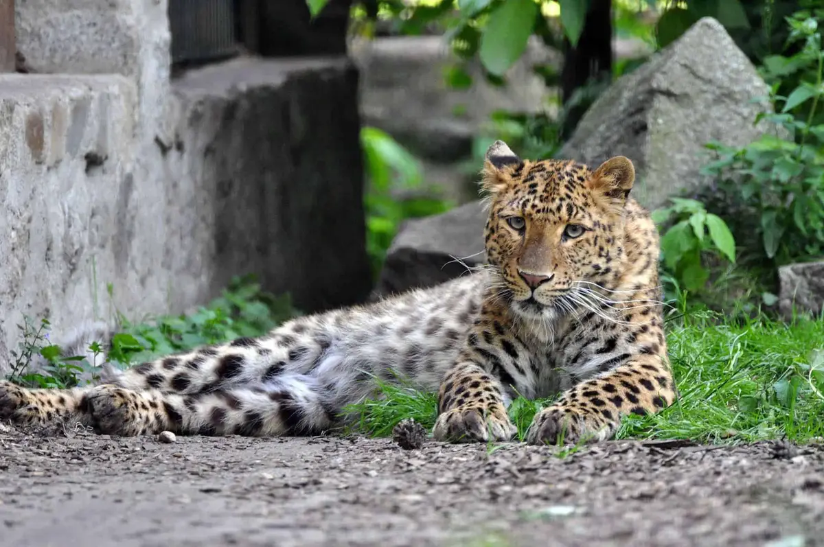 Zoo Stralsund