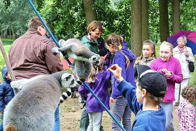 Der Tierpark Wismar
